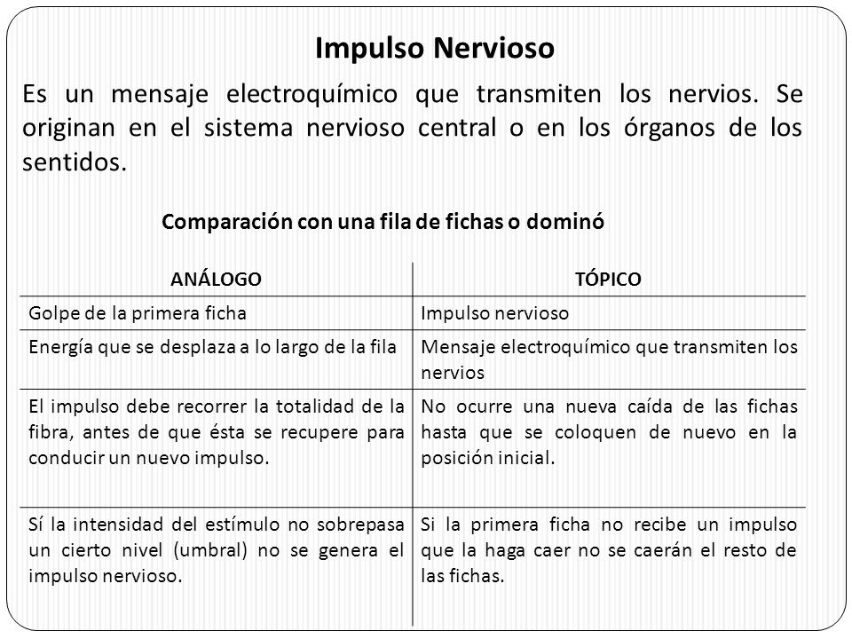 Conduccion saltatoria del impulso nervioso concepto